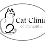 Cat Clinic Plymouth MA