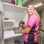 Pet sitter vs Happy Cat getting love in a Boarding Condo