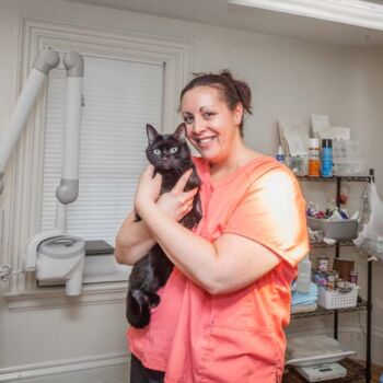 Vet holding a black cat in a veterinary clinic setting.